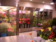 「フラワーショップ花亀」　（熊本県水俣市）の花屋店舗写真2